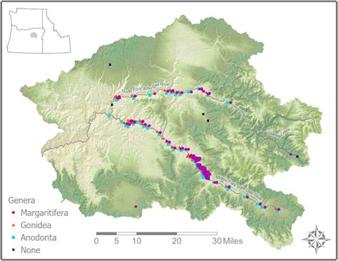 Where Do Mussels Live Ctuir Freshwater Mussel