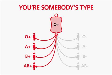 O Positive Blood Group Details , Free Transparent Clipart - ClipartKey