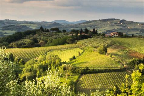 8 Best Tuscany Wine Tours from Florence 2024 + Expert Tips