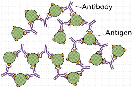 The ever fighting war machine Immune system-Its your defence - BIOChemReview