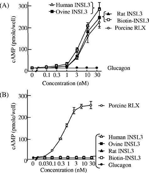 Activation Of Lgr But Not Lgr By Insl Cells Expressing Recombinant