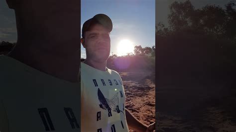 Sitio MMA Por Do Sol Maravilhoso E Minha Muda De Caju Shorts YouTube