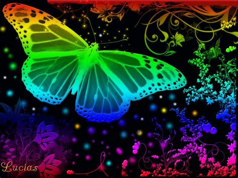 Neon Butterfly Wallpaper Wallpapersafari