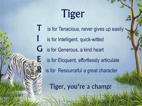 Acrostic Name Poems For Boys: Tiger