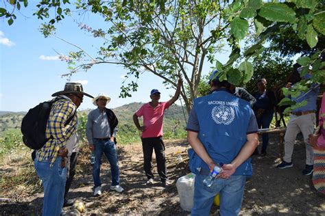 FAO Colombia On Twitter Hoy En Ovejas Sucre El MinAgricultura