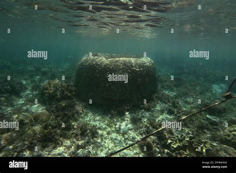 Shot Of A Coral Reef Of Pamilacan Island In The Philippines Flooded