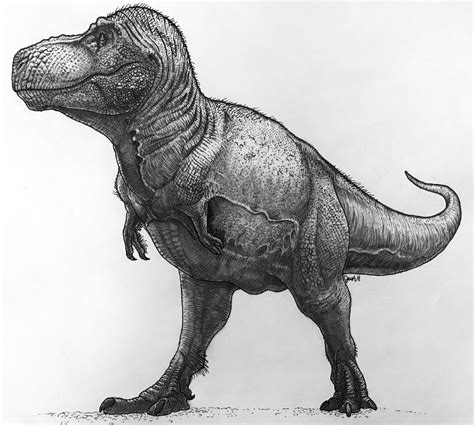 Just A Rex By Thegreatestloverart On Deviantart Dinosaur Sketch