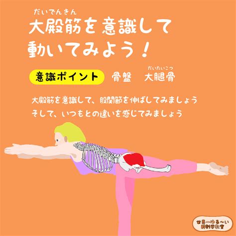 Anatomy Yogaリアル解剖学教室 6．大殿筋（だいでんきん）を意識して動いてみよう！