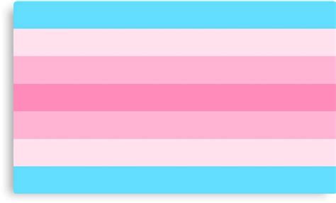 "Trans Woman Pride Flag" Canvas Prints by porcupride | Redbubble