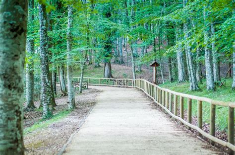 Vacanze Nel Parco Nazionale Del Gargano Cosa Fare E Come Visitarlo