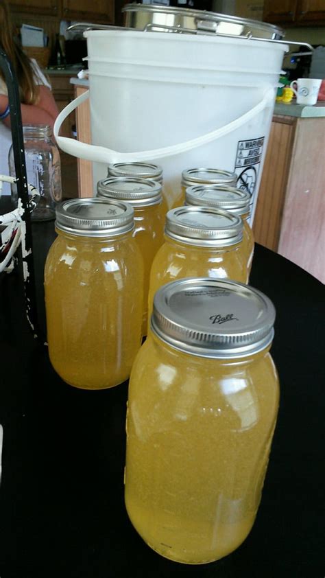 First honey extraction! Came out looking pretty and clear : r/Beekeeping