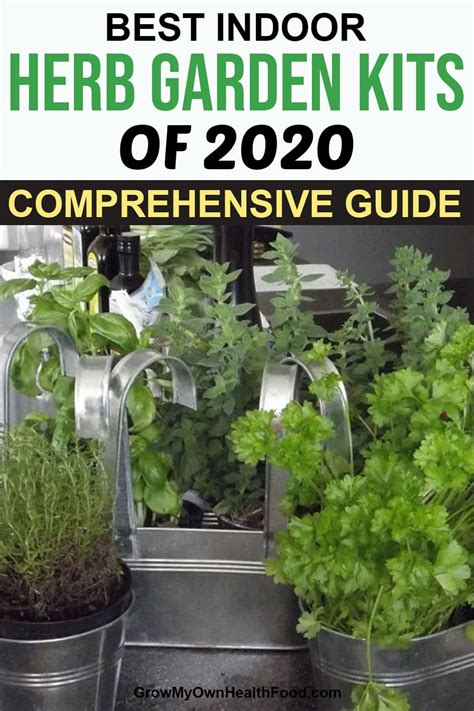 Best Indoor Herb Garden Kits of 2020 – Comprehensive Guide - Grow My ...