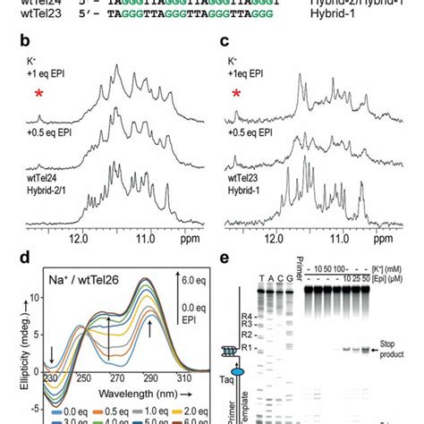 A Human Telomeric Sequences WtTel26 WtTel24 And WtTel23 And Their