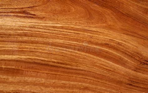 Textura De Madera Del Tabl N De La Teca Con El Modelo Natural Foto De