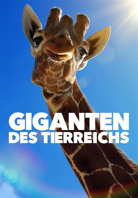 Giganten Des Tierreichs Stream Jetzt Online Anschauen