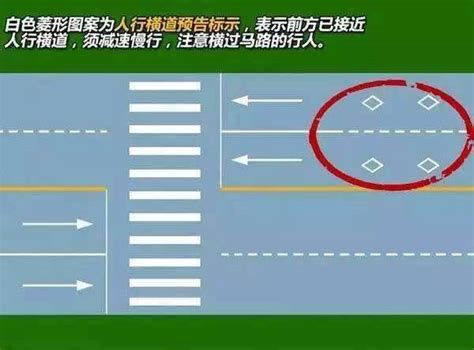 成都老司机：今起开车必须礼让行人，违者罚50扣3分！搜狐汽车搜狐网