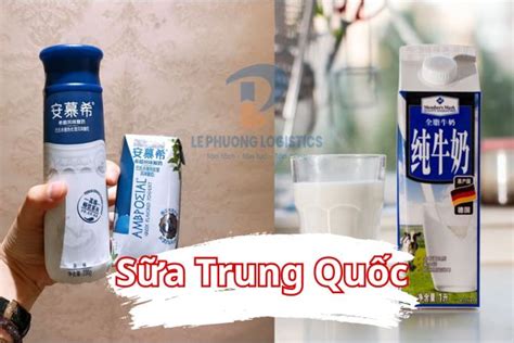 Các loại sữa Trung Quốc tốt và địa chỉ đặt hàng sữa uy tín