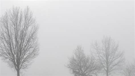 Wetter in Bayern Erst Nebel dann Sonne Abendzeitung München