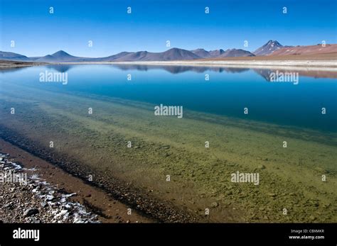 Desierto Del Lago Fotografías E Imágenes De Alta Resolución Alamy