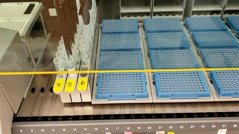 Tecan Evo Multipipetting From Tubes To Plates Youtube