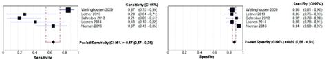 Sensitivity And Specificity Comparison Of Blood Culture And