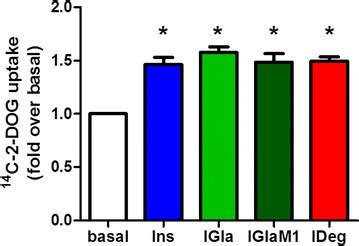 2 Deoxy D Glucose Uptake In HL 1 Cells After Insulin Stimulation With