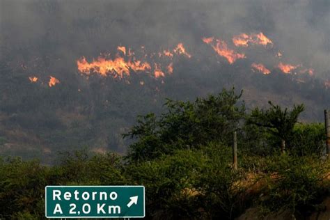 Onemi Declara Alerta Roja En Quillota Por Incendio Forestal Que Amenaza