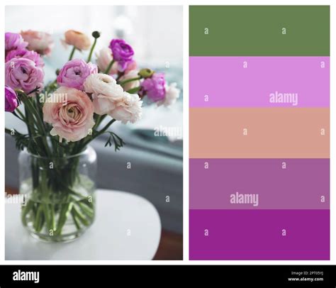 Color Palette Appropriate To Photo Of Beautiful Ranunculuses On Table