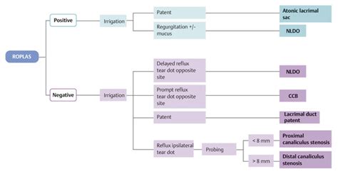 Surgery Of The Lacrimal Drainage System Ento Key