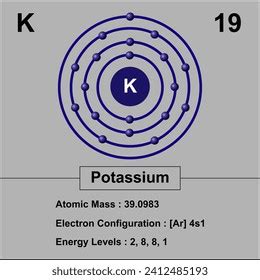 Potassium Electron Configuration Diagram Atomic Mass Stock Illustration ...