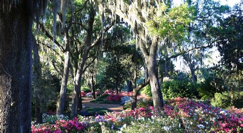 Lake Wales Florida Explore The Beautiful Bok Tower Gardens