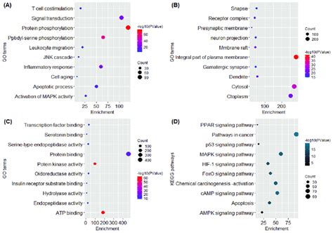 Representation Of Functional Annotation And Enriched Pathways In Form Download Scientific