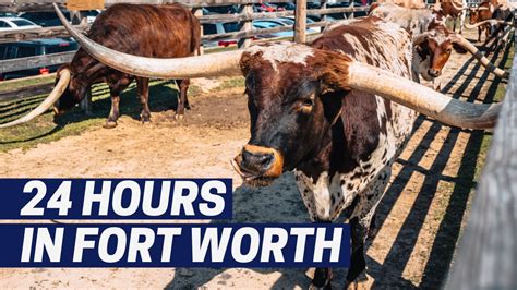 Fort Worth Texas Travel Guide Bbq Waterfalls Stockyards And A Rodeo