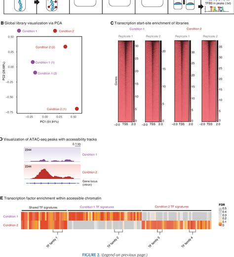 Figure 2 From Chromatin Accessibility Profiling And Data Analysis Using