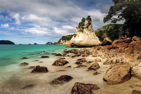 Cathedral Cove And Hot Water Beach Coromandel Private Day Tour