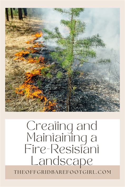 Creating And Maintaining A Fire Resistant Landscape Drought Tolerant