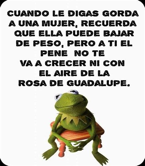 Imagenes Para Perfil De Whatsapp Chidas Frases De Buen Humor Chistes