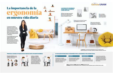 InfografÍa La Importancia De La Ergonomía Ciencia Unam