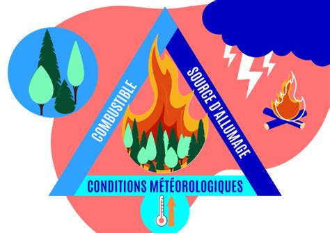 Quel Lien Entre Changement Climatique Et Feux De For Ts Tilt