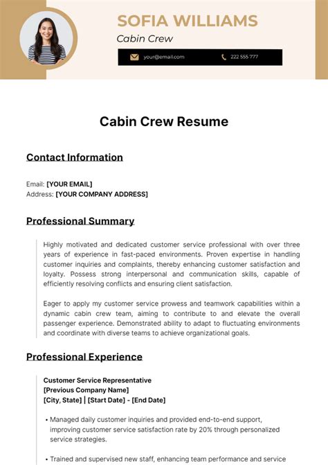 cabin crew resume template  edit