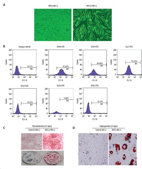 Figure 1 From Peroxisome Proliferator Activated Receptor γ Coactivator 1α Pgc 1α Regulates The