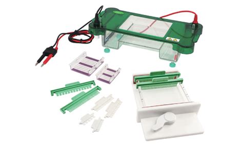 Electroforesis Horizontal Yr Kalstein