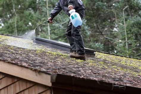 How To Remove Moss From A Roof