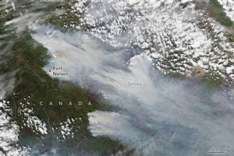 Satellite Image Shows Canadian Wildfire Smoke Drifting Toward Us Newsweek