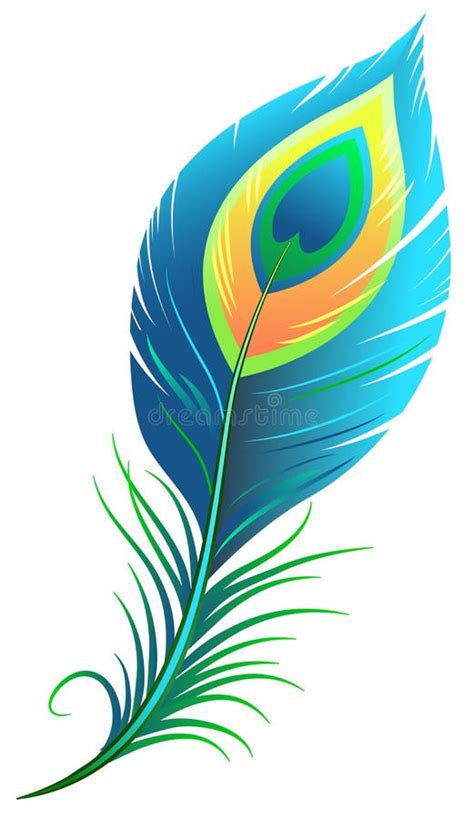 Peacock Feather Stock Vector Image 62385391