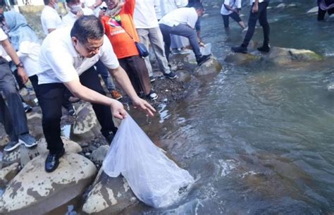 Ribu Ekor Ikan Ditebar Di Sungai Ciliwung Dalam Rangka Rifa Fest