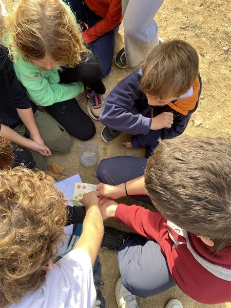 Ra Torrent De La Betzuca Ceip Lola Anglada