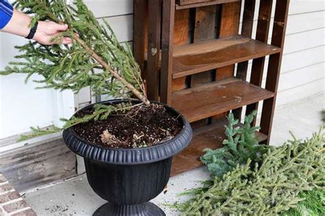 Easy Holiday Front Porch Planters House Of Hawthornes