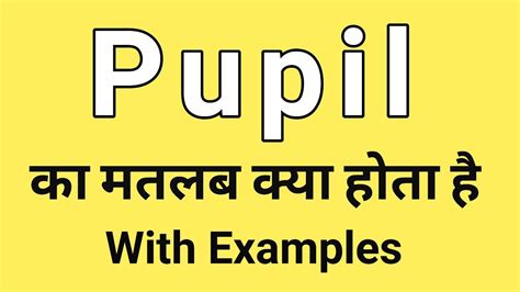 Pupil Meaning In Hindi Pupil Ka Matlab Kya Hota Hai Word Meaning