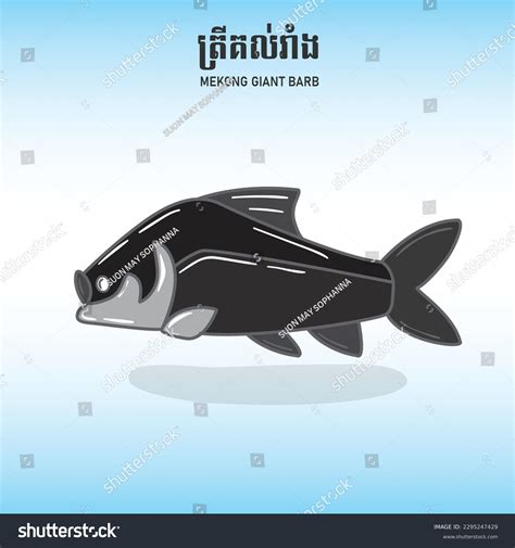 Cambodia Mekong Giant Barb Fish Vector Stock Vector (Royalty Free) 2295247429 | Shutterstock